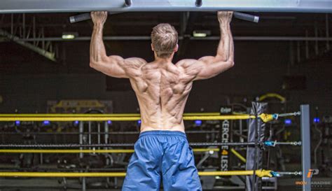 The Best Way To Train All 5 Major Muscle Groups Iron Paradise Fitness