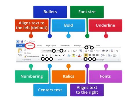 S1 Ms Word Labelled Diagram