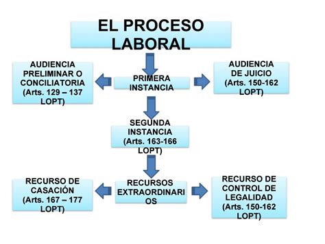 Etapas Procesal Del Procedimiento Ordinario Y Especial Mapa Conceptual