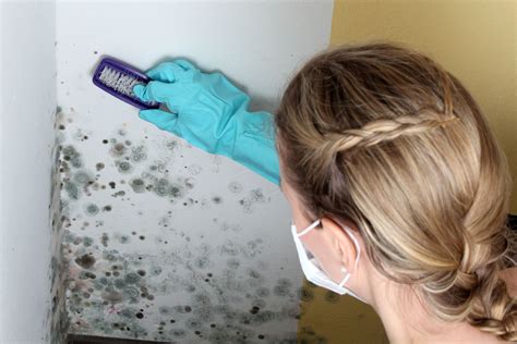 3 Truths To Mold Removal And Why You Should Hire Someone