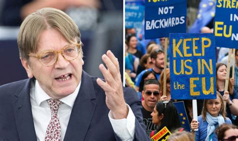 Remainers Plead With Guy Verhofstadt To Stop Brexit ‘extremists