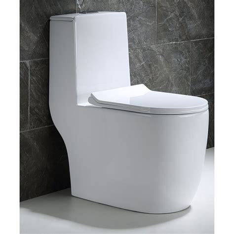 Hometure Dual Flush Elongated One Piece Toilet And Reviews Wayfair