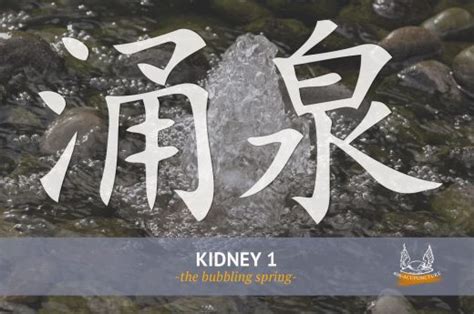 What Does That Point Do Kidney 1 406 Acupuncture