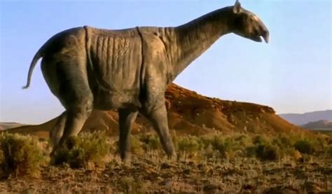 Farmer Discovers Skeleton Of Giant Hornless Rhino The Largest Land