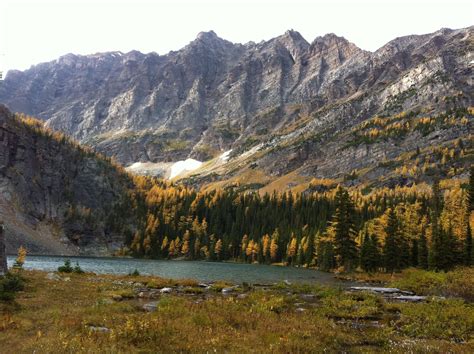 Update Lets Talk Parks Canada Alberta Wilderness Association