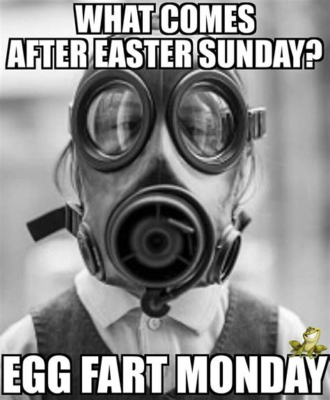 This Is After Easter Sunday For Reals Easter Humor Funny Pictures
