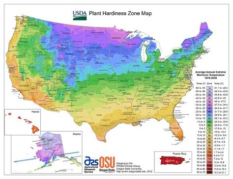 The Usda Planting Zones How To Find Your Planting Zone