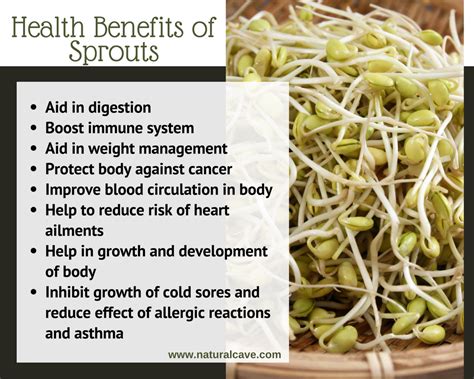 When In Doubt Eat Sprouts Know Everything About Sprouts At