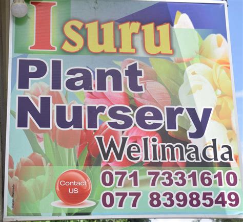 Isuru Plant Nursery Uva Products