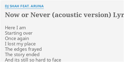 Now Or Never Acoustic Version Lyrics By Dj Shah Feat Aruna Here I