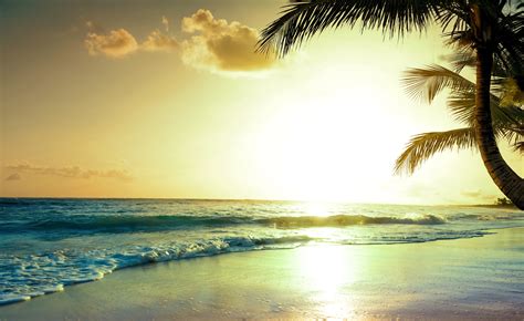 Tropical Beach Sunset 4k, HD Nature, 4k Wallpapers, Images, Backgrounds