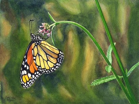 Monarch Butterfly Watercolor Painting Print By Cathy Hillegas Etsy