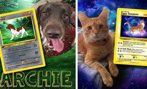 For an item to be considered a deal, it must either You Can Now Buy Custom Pokémon Cards Featuring Your Pet
