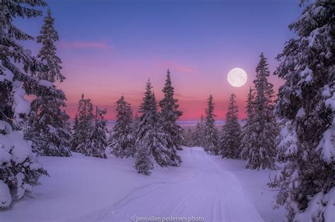 Winter Full Moon At Sunset Hd Wallpaper Background Image