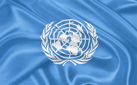 United Nations Flag Logo