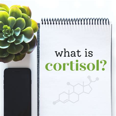 Cortisol Effects On Women S Health Vibrant Living Naturopathic And Wellness Center