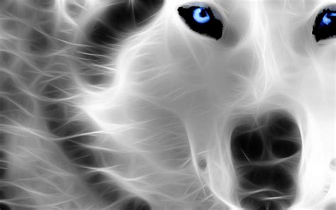 Neon Wolf Wallpapers Top Free Neon Wolf Backgrounds Wallpaperaccess