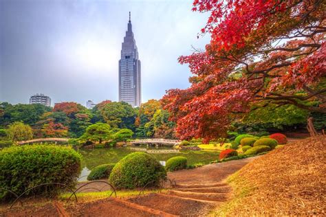 Tokyos Best Fall Foliage Spots Tokyo Photos Park Photos Hyogo Gifu Peninsula Tokyo