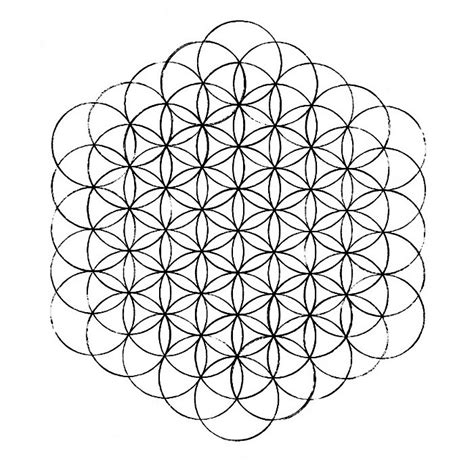 Flower Of Life How To Draw It The Chemical Marriage