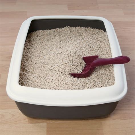 Limited time sale easy return. Cat Won't Poop in Litter Box | ThriftyFun