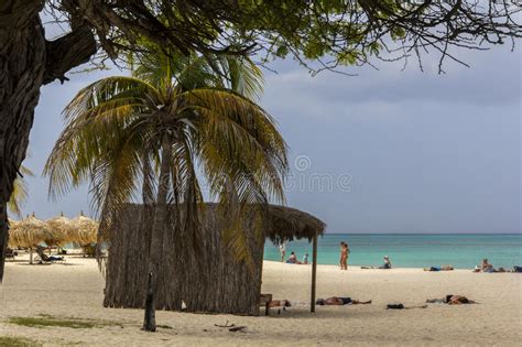Eagle Beach On Aruba Stock Image Image Of Photography