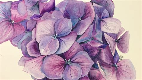 Watercolor Hydrangeas On Cold Pressed Painting Demonstration Youtube