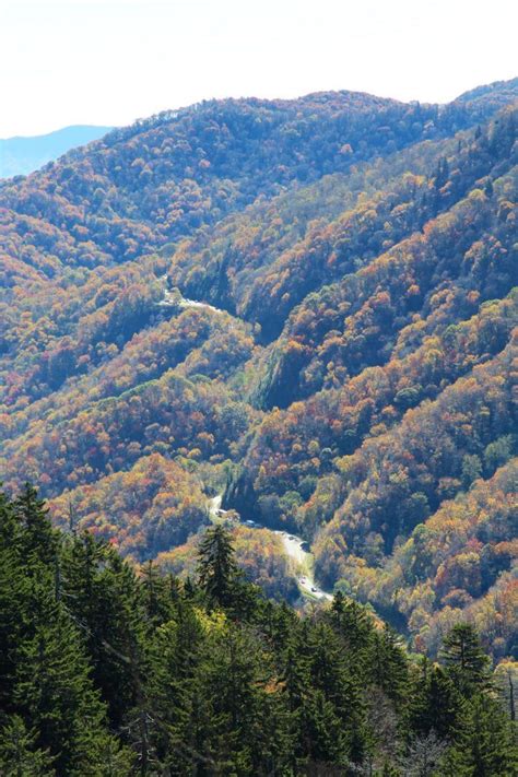 Newfound Gap Is The Highest Road In Tennessee Places To Travel