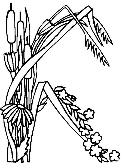 Just take a look at this pretty chart. Coloring page : Alphabet flower k - Coloring.me