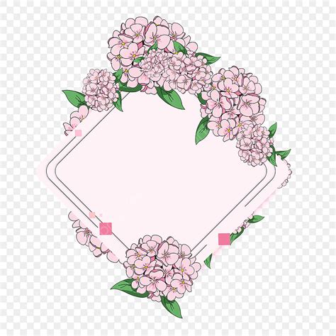 Hydrangea Flower Hd Transparent Linear Hydrangea Flower Border