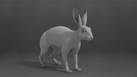 Artstation White Rabbit Animated Vfx Grace Game Assets