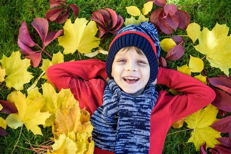 Little Kid Boy Lying In Autumn Leaves In Red Pullover Happy Child