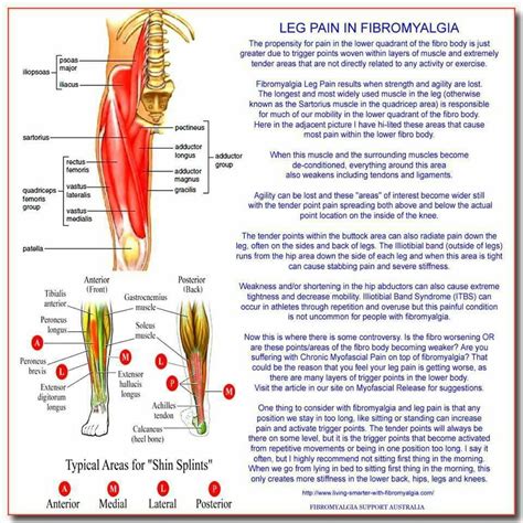 Individuals who suffer from fibromyalgia often trigger points are normally about the size of a penny. Pin on Fibromyalgia & Lupus