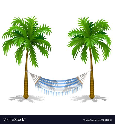 Hammock Between Two Palm Trees Isolated On White Vector Image