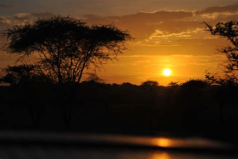 Serengeti National Park Tanzania Africa Sunrise Sunset Serengeti