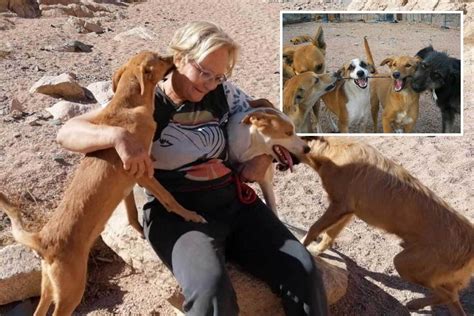 ‘wonderful Brit Woman 61 ‘eaten Alive By Pack Of Feral Dogs She