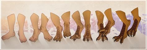 FurryBooru - 3 toes claws digitigrade dragon drpickelle ...
