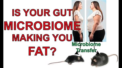 Is Your Microbiome Making You Fat Youtube