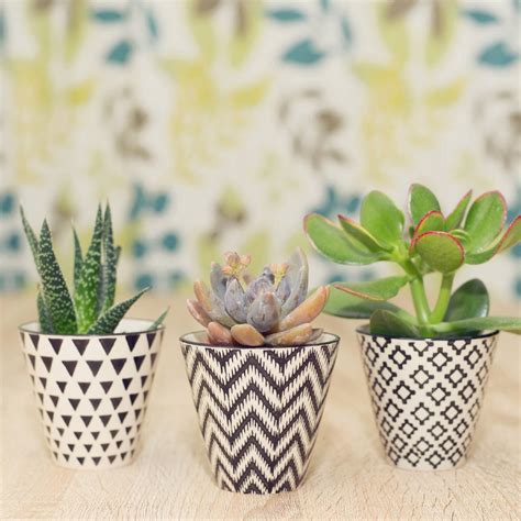 Set Of Three Mini Planters With Choice Of Plants By Dingading