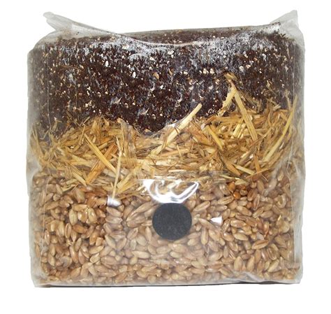 All In One Mushroom Grow Bag Grocery And Gourmet Foods