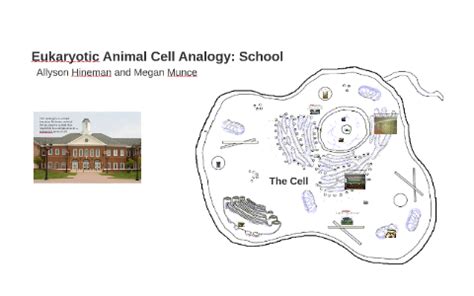 Check spelling or type a new query. Eukaryotic Animal Cell Analogy: School by Megan Munce