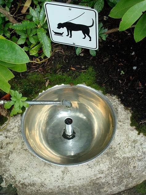 Can be used in a small pond, a birdbat. Outdoor Dog Water Fountain 5 | Dog water fountain, Dog ...