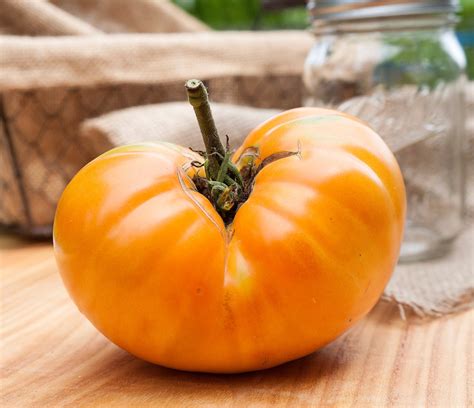 Amana Heirloom Tomato Premium Seed Packet · Sherwoods Seeds · Online