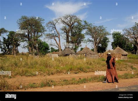 Senegal Saloum River Delta Village Hi Res Stock Photography And Images