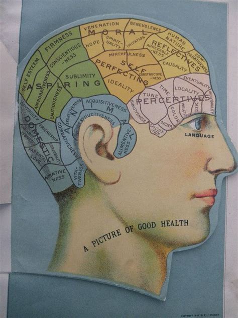 Thousands of highlighted, labeled illustrations and diagrams await! RESERVED for JAC -----1916 overlay color Medical CHARTS from antique medical book - head, brain ...