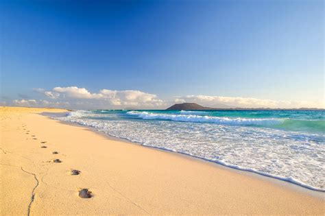 Best Beaches In Fuerteventura Which Fuerteventura Beach Is Right For You Go Guides