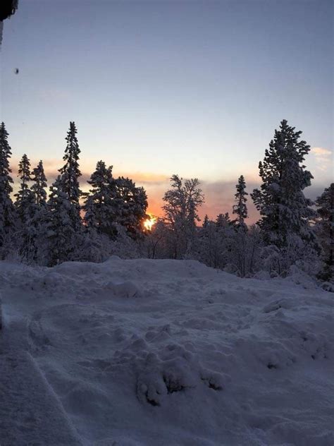 Pinterest ~ Pawsofharmony ☾ Winter Scenes Winter Sunset Winter Photography