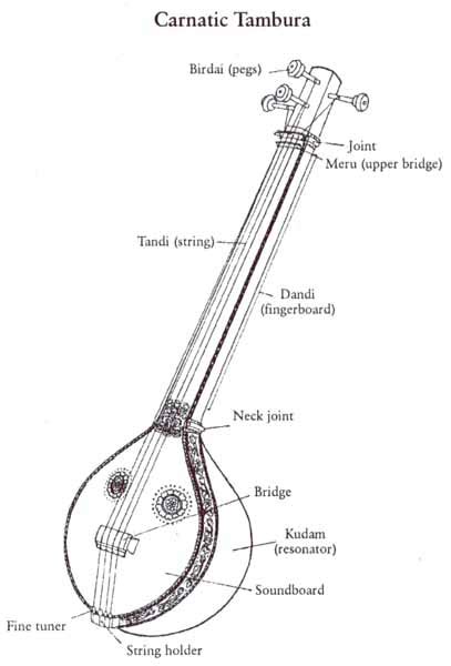 Carnatic Classical Instruments Tambura Andhra Cultural Portal