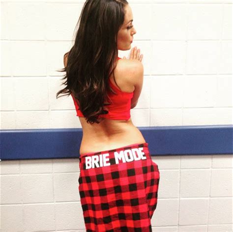 Wrestling Divas Brie Bella