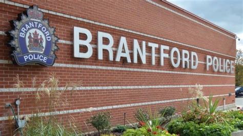 brantford police chief wants to know why his officers raided the wrong home in drug bust cbc news