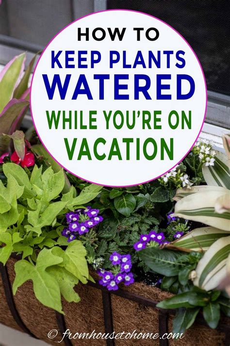 How To Keep Outdoor Planters Watered While On Vacation